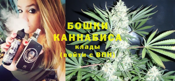 метадон Гусев