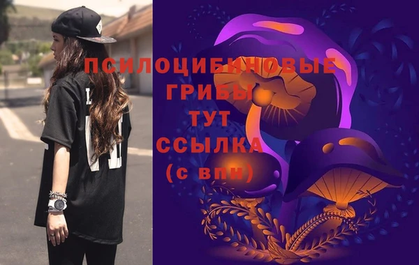 дмт Абинск