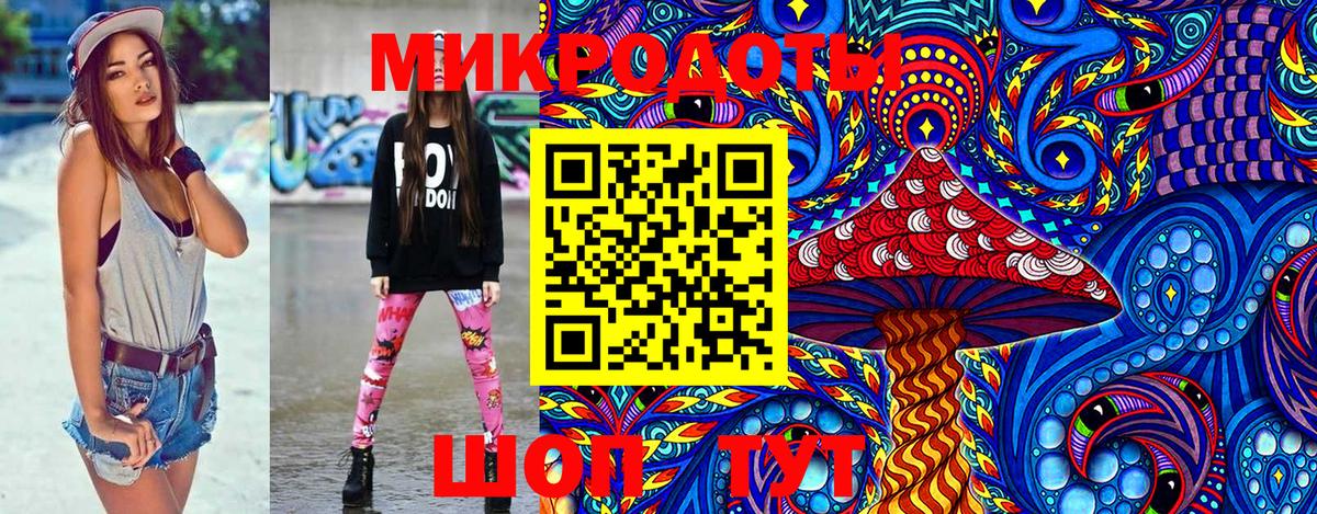 Галлюциногенные грибы Psilocybe Электрогорск