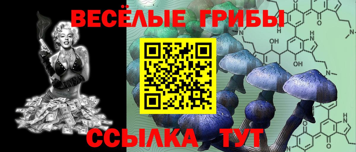 Галлюциногенные грибы Psilocybe  Псилоцибиновые грибы ЛСД  Электрогорск  Вход с VPN 